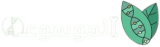 الموسوعة سنتر